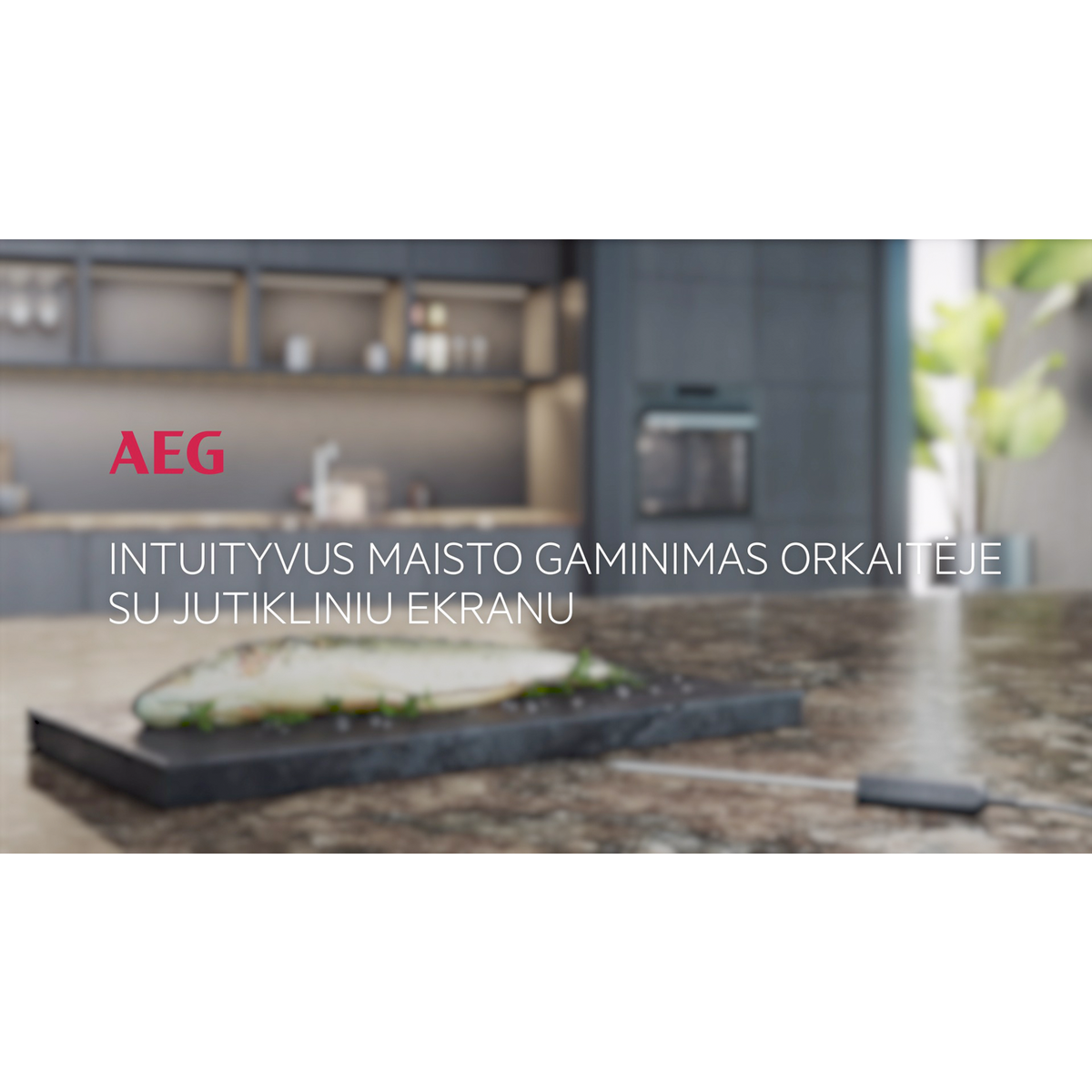 AEG - Orkaitė - BSE798380T