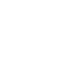 „Steamify®“